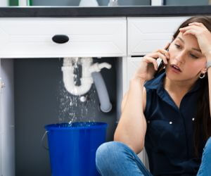 About Emergency plumbing pros Lake Alfred, FL